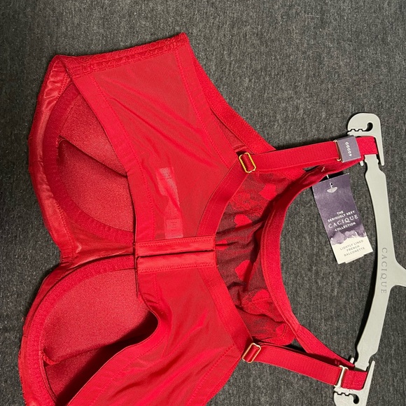 Bra - Picture 4 of 6